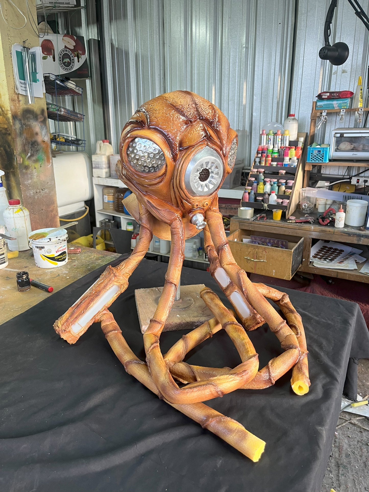 ZUCKUSS
